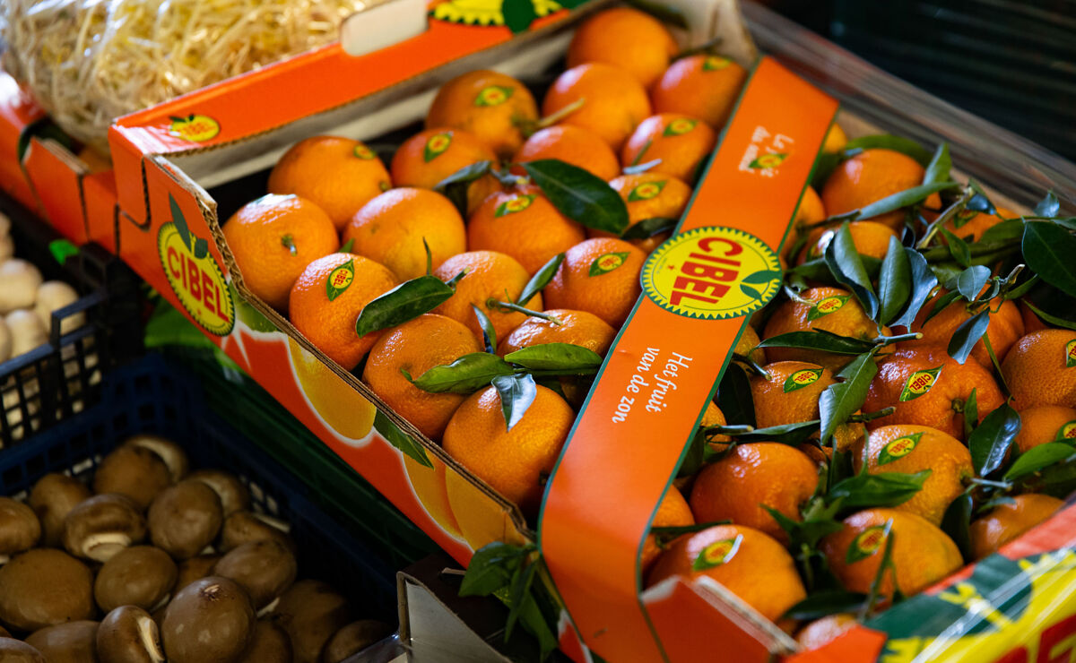 Eussifruit mandarijn