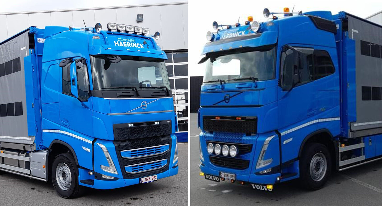 Pluimveehandel Haerinck