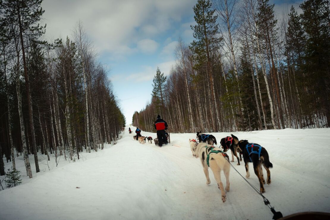 Nebim-teambuilding-lapland-11