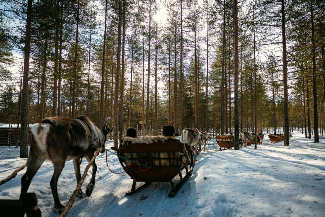 Nebim-teambuilding-lapland-48