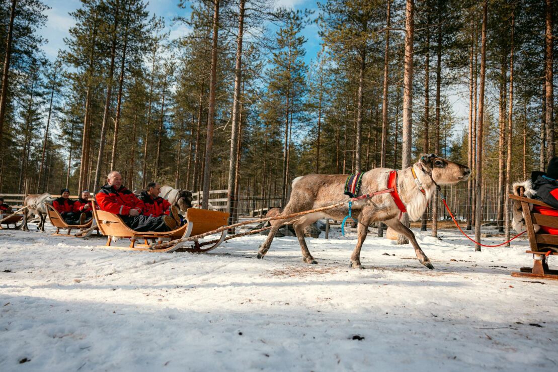 Nebim-teambuilding-lapland-52
